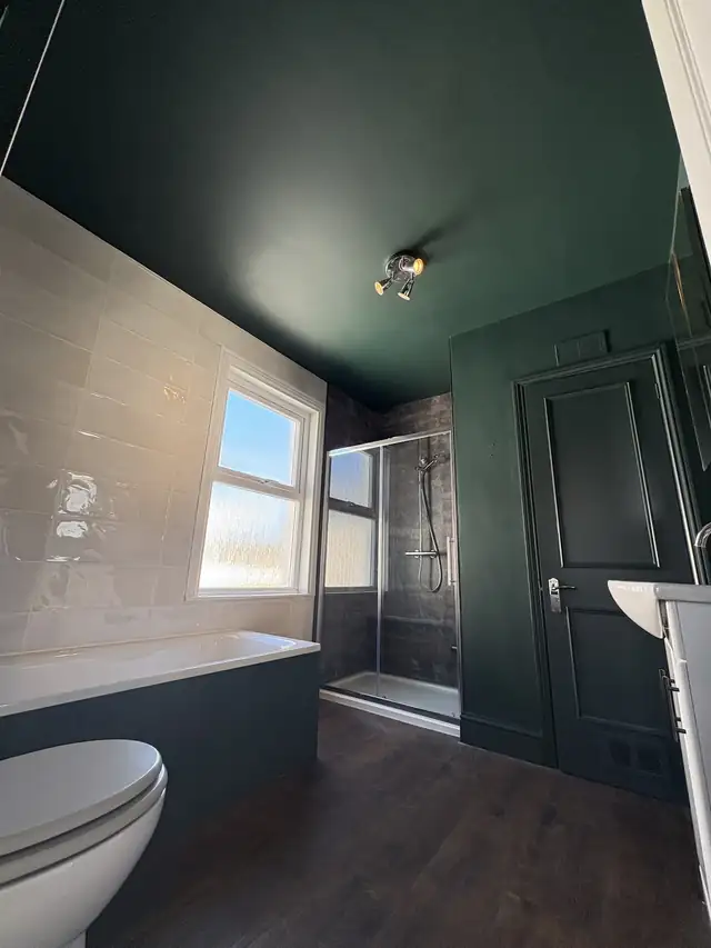 Bathroom with a dark green ceiling and panelled door